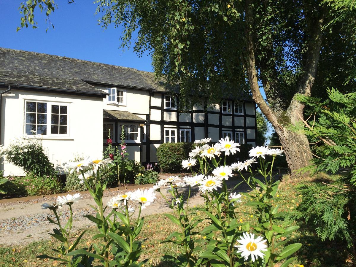 Yew Tree Cottage レオミンスター エクステリア 写真